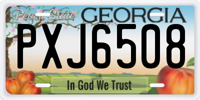 GA license plate PXJ6508