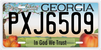 GA license plate PXJ6509