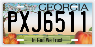 GA license plate PXJ6511