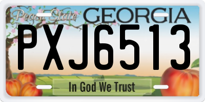 GA license plate PXJ6513