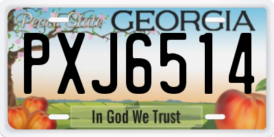 GA license plate PXJ6514
