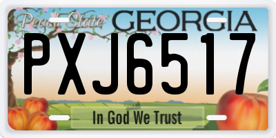 GA license plate PXJ6517