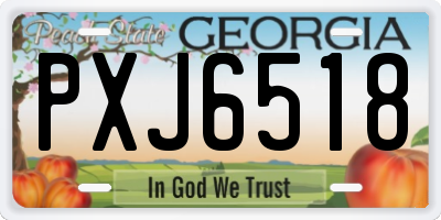 GA license plate PXJ6518