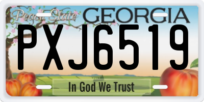 GA license plate PXJ6519