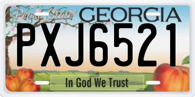 GA license plate PXJ6521