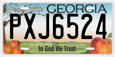 GA license plate PXJ6524