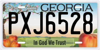 GA license plate PXJ6528