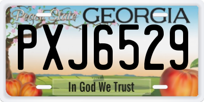 GA license plate PXJ6529