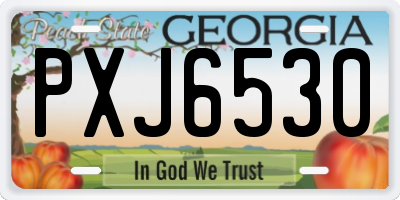 GA license plate PXJ6530