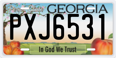 GA license plate PXJ6531