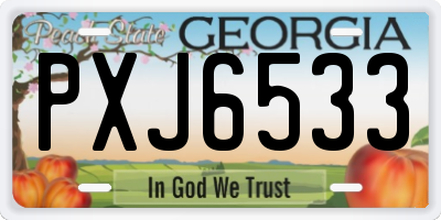 GA license plate PXJ6533
