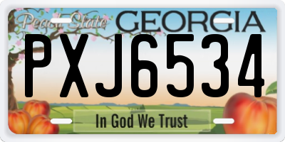 GA license plate PXJ6534