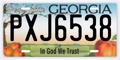 GA license plate PXJ6538