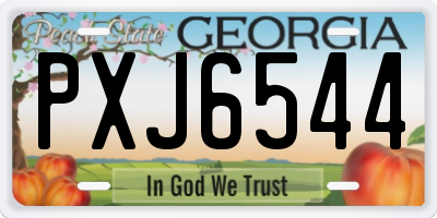GA license plate PXJ6544