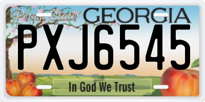GA license plate PXJ6545