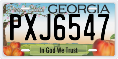 GA license plate PXJ6547