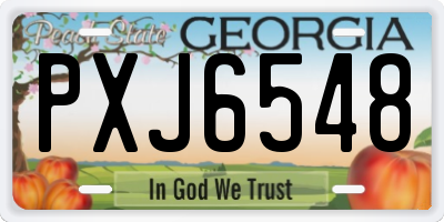 GA license plate PXJ6548