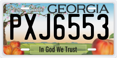 GA license plate PXJ6553