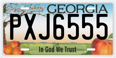 GA license plate PXJ6555