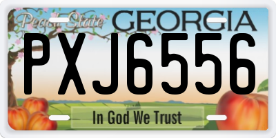 GA license plate PXJ6556