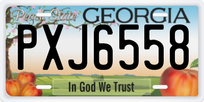 GA license plate PXJ6558