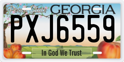 GA license plate PXJ6559