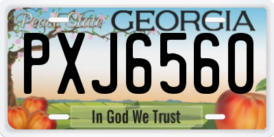 GA license plate PXJ6560