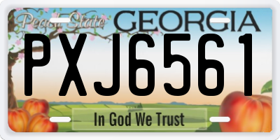 GA license plate PXJ6561