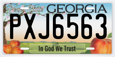 GA license plate PXJ6563