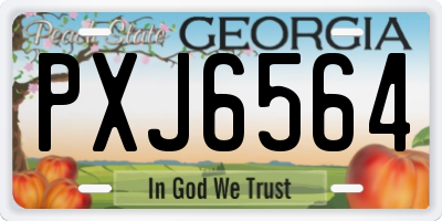 GA license plate PXJ6564