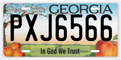 GA license plate PXJ6566