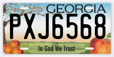 GA license plate PXJ6568