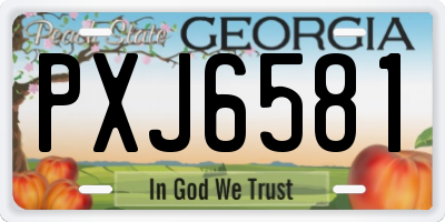 GA license plate PXJ6581