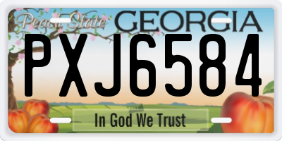 GA license plate PXJ6584