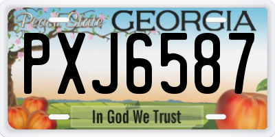 GA license plate PXJ6587