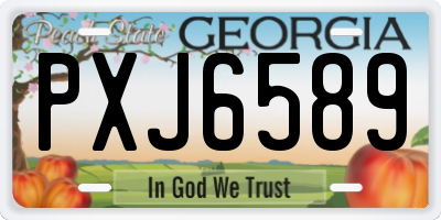 GA license plate PXJ6589