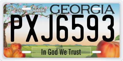 GA license plate PXJ6593
