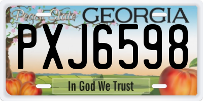GA license plate PXJ6598