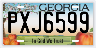 GA license plate PXJ6599