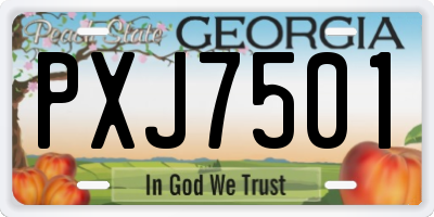 GA license plate PXJ7501