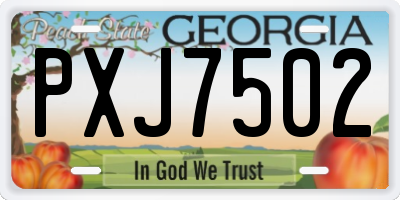 GA license plate PXJ7502