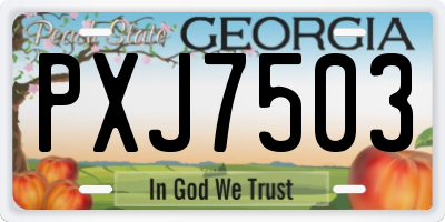 GA license plate PXJ7503