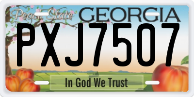 GA license plate PXJ7507