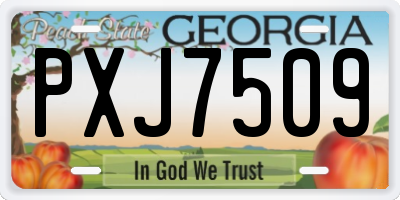 GA license plate PXJ7509