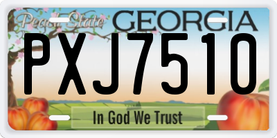 GA license plate PXJ7510