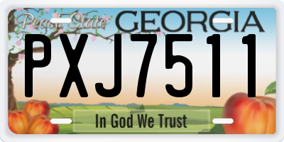 GA license plate PXJ7511