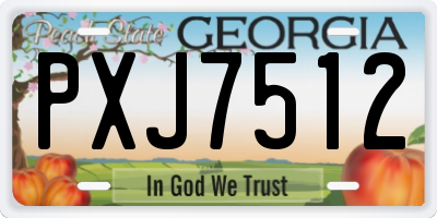 GA license plate PXJ7512