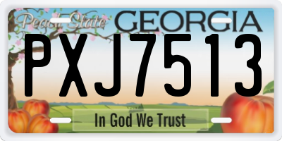 GA license plate PXJ7513