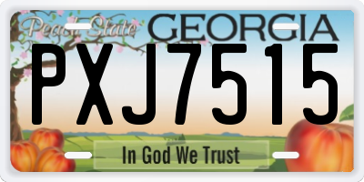 GA license plate PXJ7515