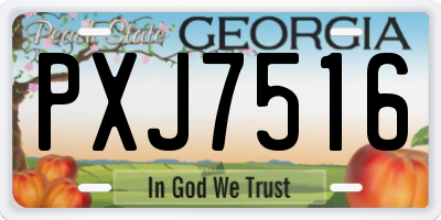 GA license plate PXJ7516